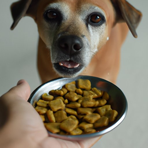 Offer Treats After Eating Dry Food