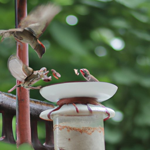 Feed Multiple Times a Day