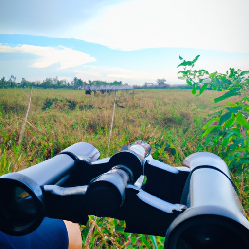 Explore Opportunities in the Field