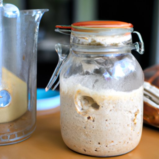 Sourdough 101: How to Create Your Own Starter