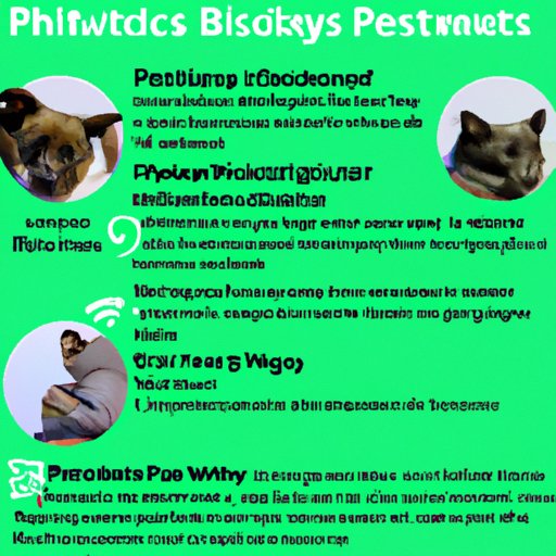 Overview of the Benefits of Creating a Pet Playlist on Spotify