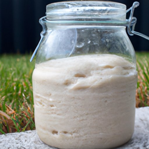 Benefits of Making Your Own Sourdough Starter