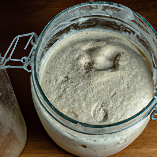 Definition and Overview of Sourdough Starter