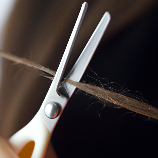 Get Regular Trims to Remove Split Ends