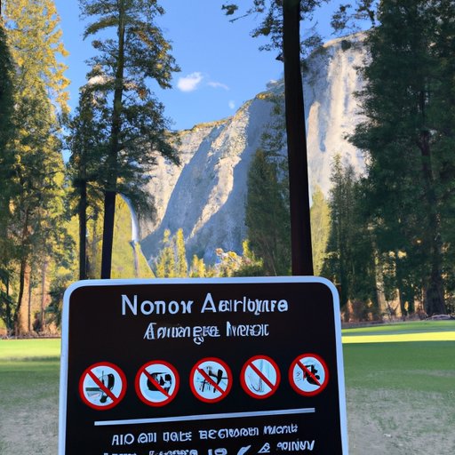 Identify Activities to Enjoy in Yosemite