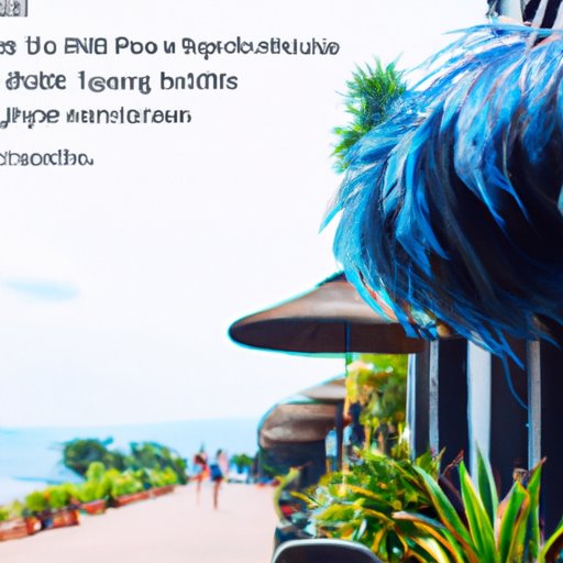 Top Tips for Maximizing Your Staking Rewards