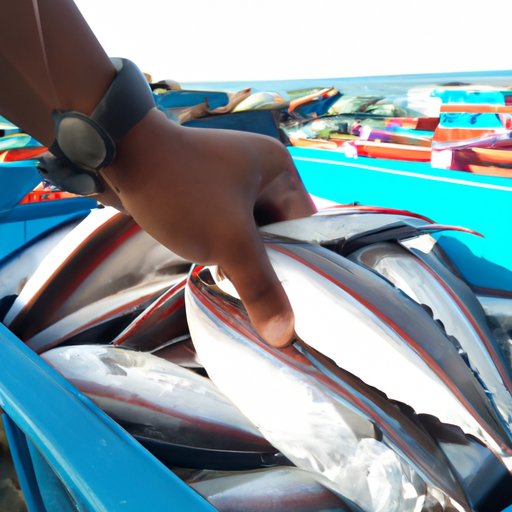 Research the Local Market for Charter Fishing Businesses