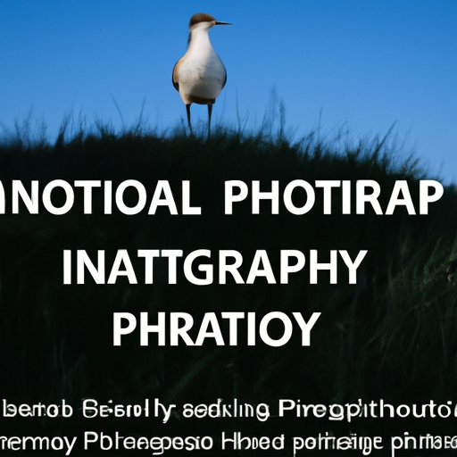 Finding Clients and Marketing Your Nature Photography Services