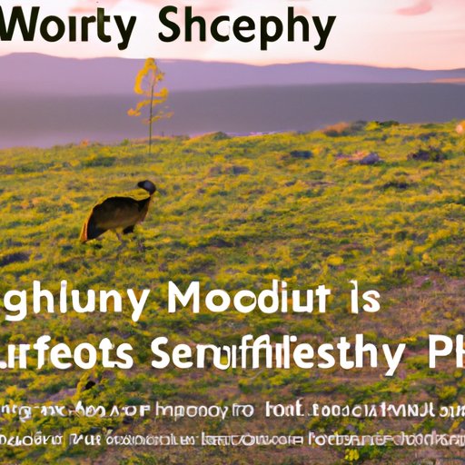 Benefits of Starting a Nature Photography Business