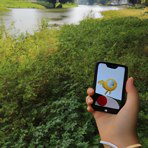 Explore the Wild Areas and Catch New Pokémon