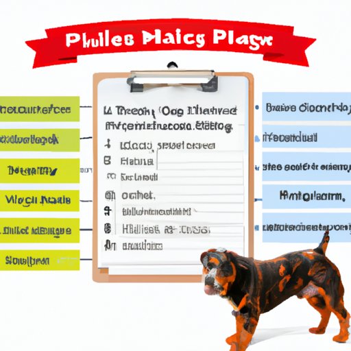 Develop a Plan to Manage Finances and Operational Costs of Your Pet Daycare Business