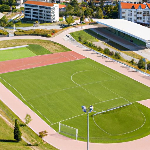 Overview of the Sports Facility Business