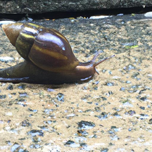 Start Slowly and Build Up Gradually