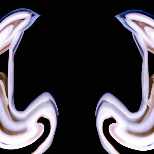 Invoking a Visual or Sensory Image