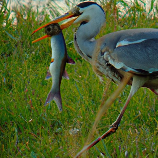 Practice Shooting with a Gun or Bow