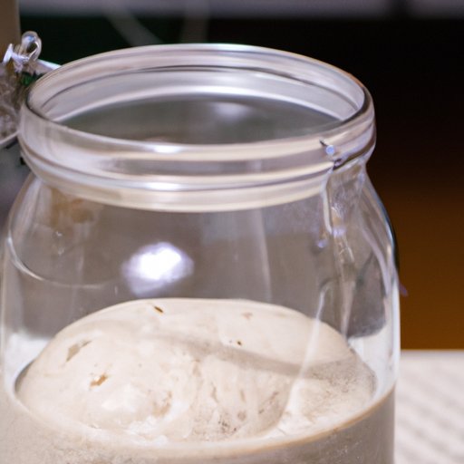Sourdough Starter in 5 Easy Steps