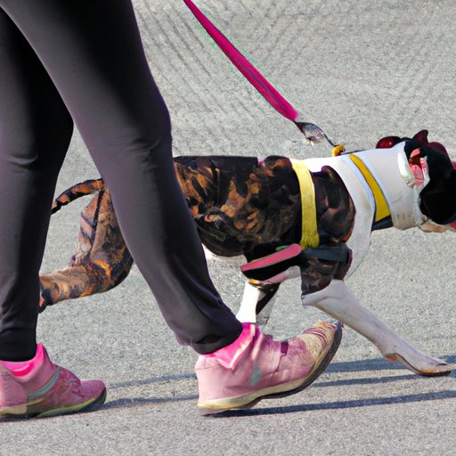 Making Sure Your Dog is Getting Enough Exercise