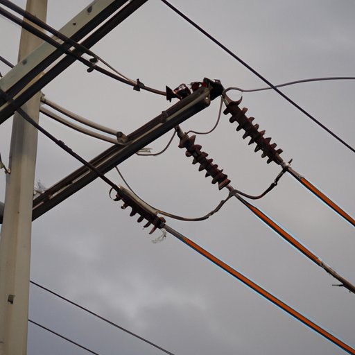 Make Connections to Other Fields