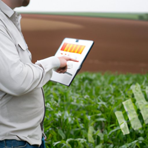 Monitoring and Managing Yield Farming Investments