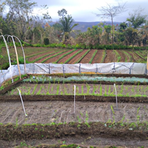 Types of Yield Farming Strategies