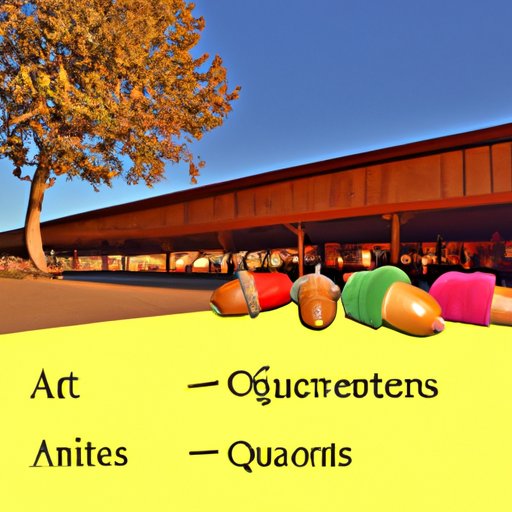 Benefits and Risks of Investing in Acorns