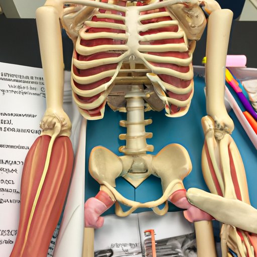 The Role of Anatomy Science in Medical Education