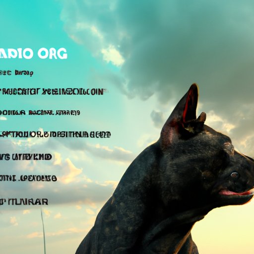 Examining the Benefits and Challenges of Argo AI Going Public