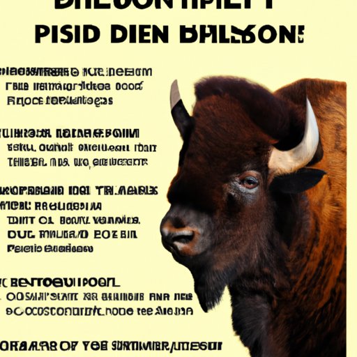 Nutritional Benefits of Eating Bison