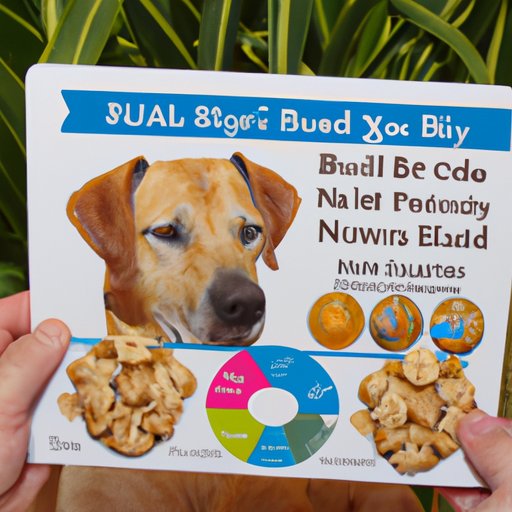 Evaluating Customer Reviews of Blue Buffalo Dog Food