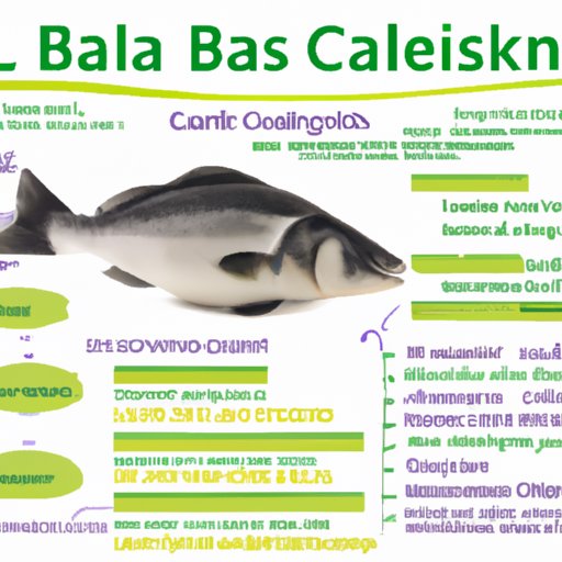 Overview of the Nutritional Benefits of Chilean Sea Bass