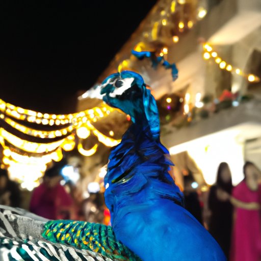Enjoying the Festive Atmosphere of Peacock During the Holiday Season