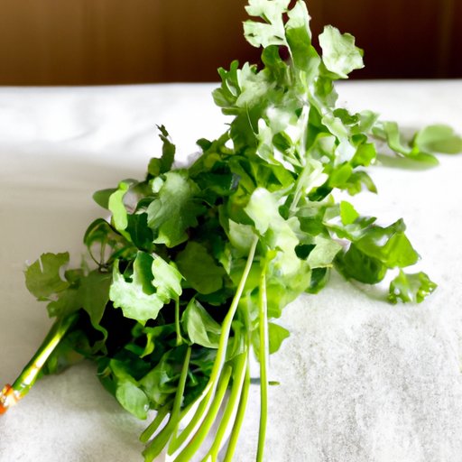 Exploring the Health Benefits of Cilantro