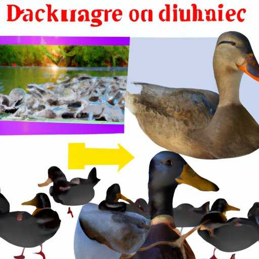 Exploring the Impact of Duck Consumption on the Environment