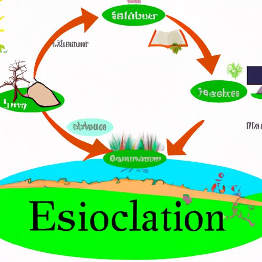 Role of Education in Environmental Science