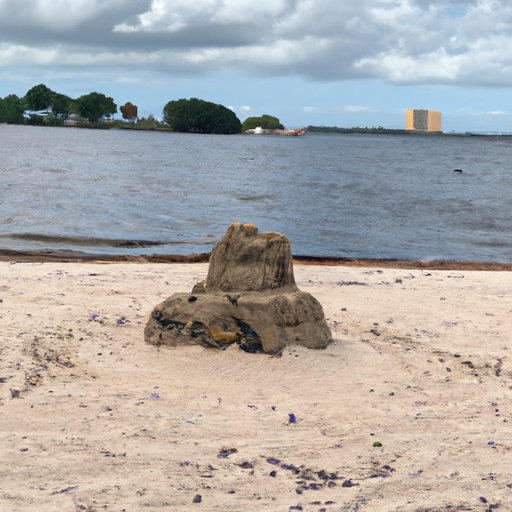 Experiencing the Culture of Fort Myers