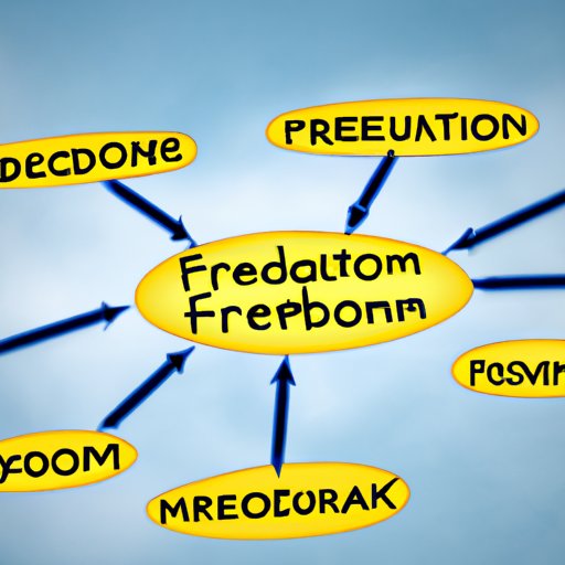 Investigating the Credibility of Freedom Financial Network