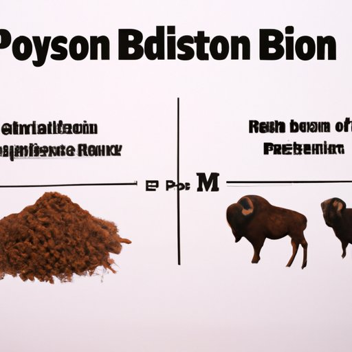 Comparing Ground Bison to Other Sources of Protein