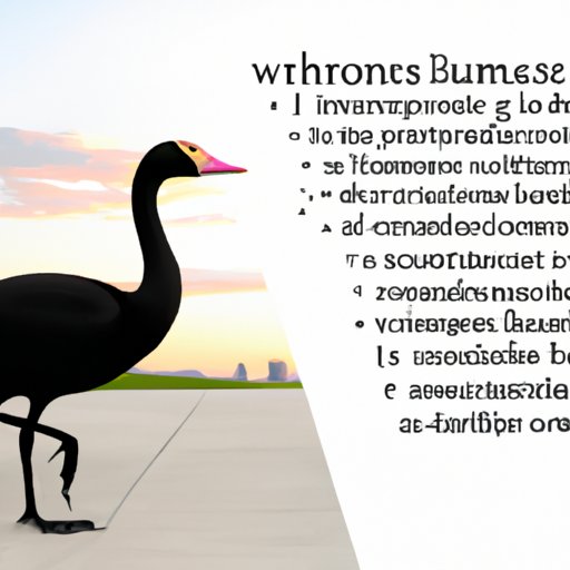 Benefits of Working with Hantz Financial as a Fiduciary