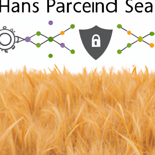 Exploring the Security Features of Harvest Finance
