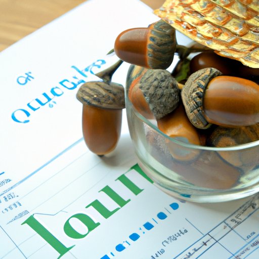 Examining the Financial Returns of Investing in Acorns