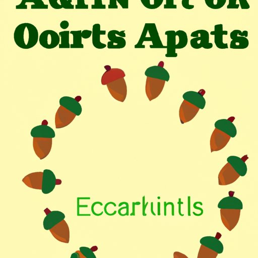 A Guide to Investing with Acorns for Beginners