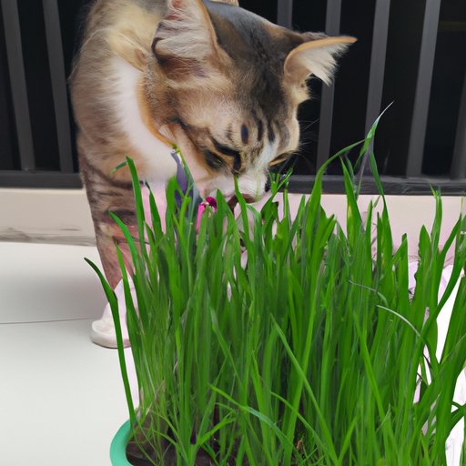 Exploring the Nutritional Benefits of Cats Eating Grass