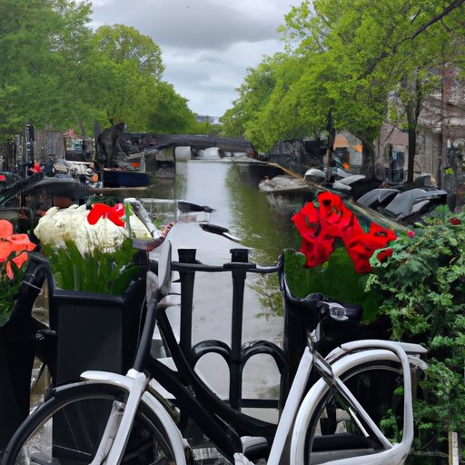 The Benefits of Traveling to Amsterdam Right Now