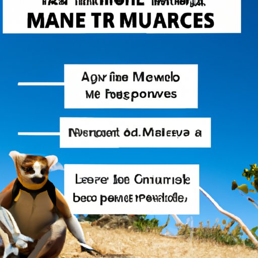 A Guide to Safely Enjoying Madagascar