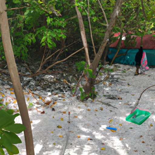 Exploring the Health and Sanitation Standards in the Maldives