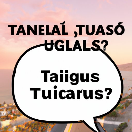 Discuss the Advantages and Disadvantages of Travelling to Tijuana