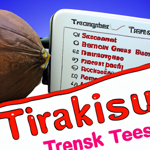 Assessing the Risks Involved With Traveling to Turkey