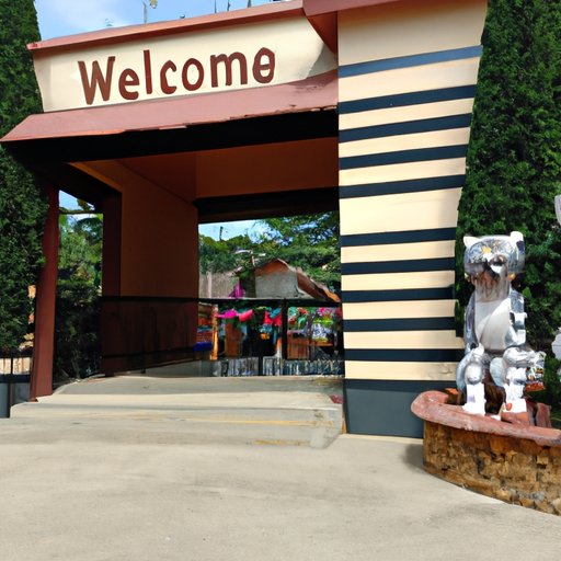 Investigating the Attractions That Are Welcoming Visitors