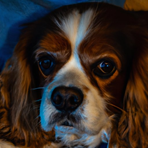 Examining the Health of King Charles: An Overview