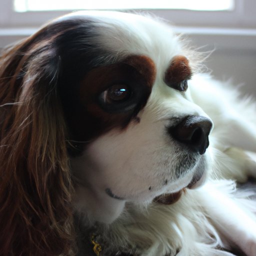 Exploring the Mental and Emotional Health of King Charles